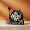 Kailash Shiva
